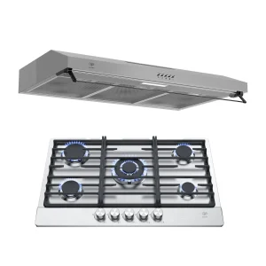 Combo Parrilla de gas 5 quemadores 76 cm + Campana de pared 80 cm